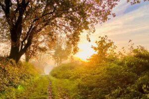 A Financial Guide for Widows